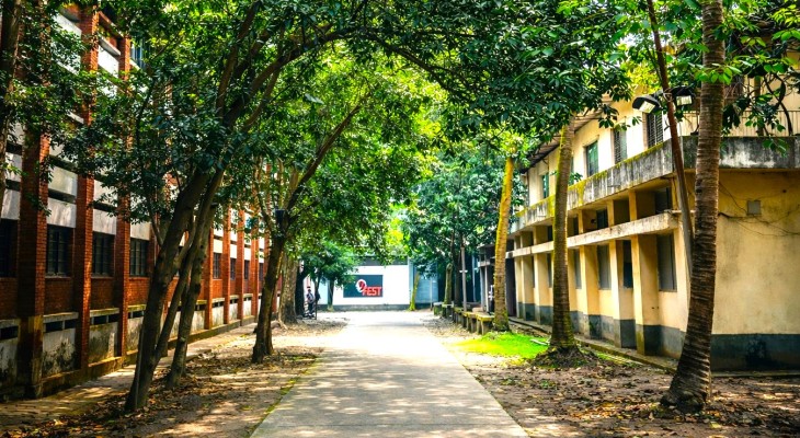 নিটারে মশার উপদ্রব তীব্র, জ্বালানি সংকটে বন্ধ হলের জেনারেটর